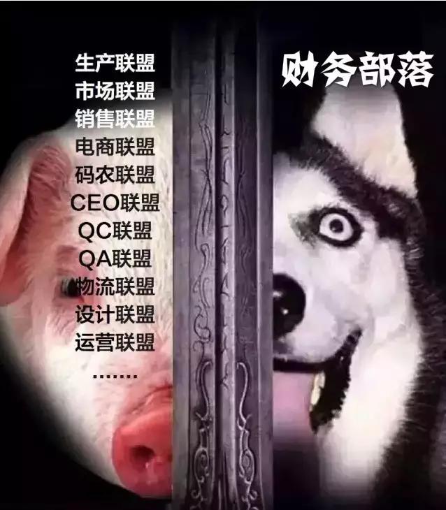 财务版《魔兽》，没玩过游戏也能秒懂！