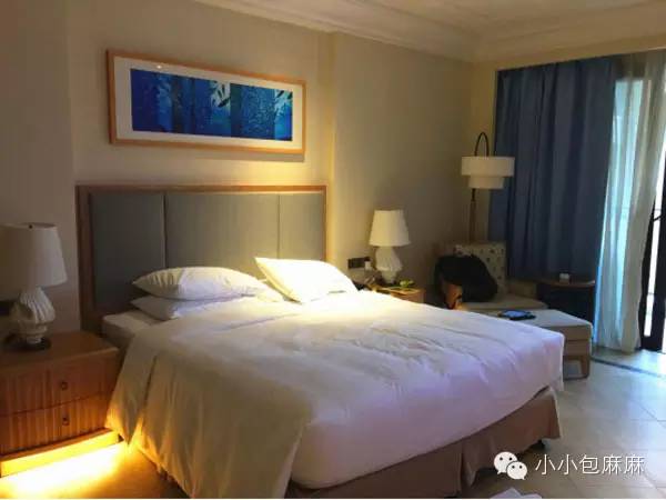 广州长隆动物园一日游攻略,长隆动物园和海洋公园哪个值得去