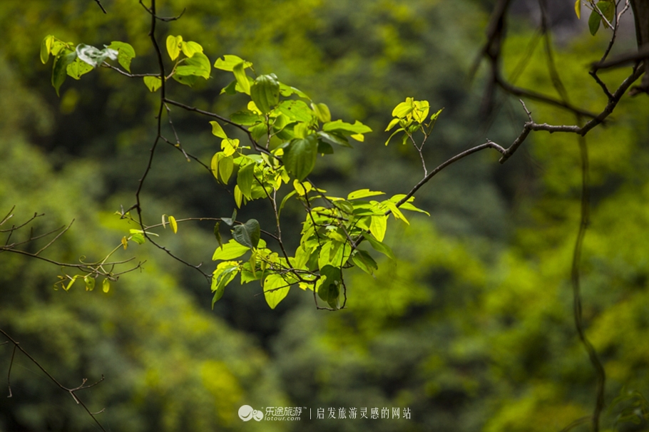 云顶景区瀑布,云顶山峡谷七彩瀑布