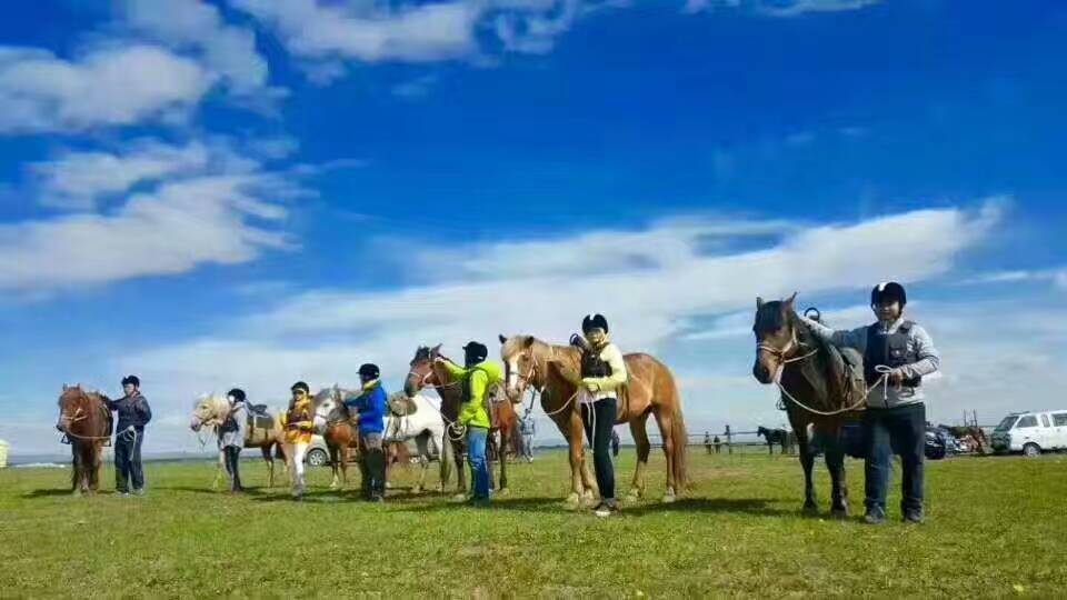 大武口呼伦贝尔风情园烤全羊团购,呼伦贝尔旅游必吃的十大特色美食