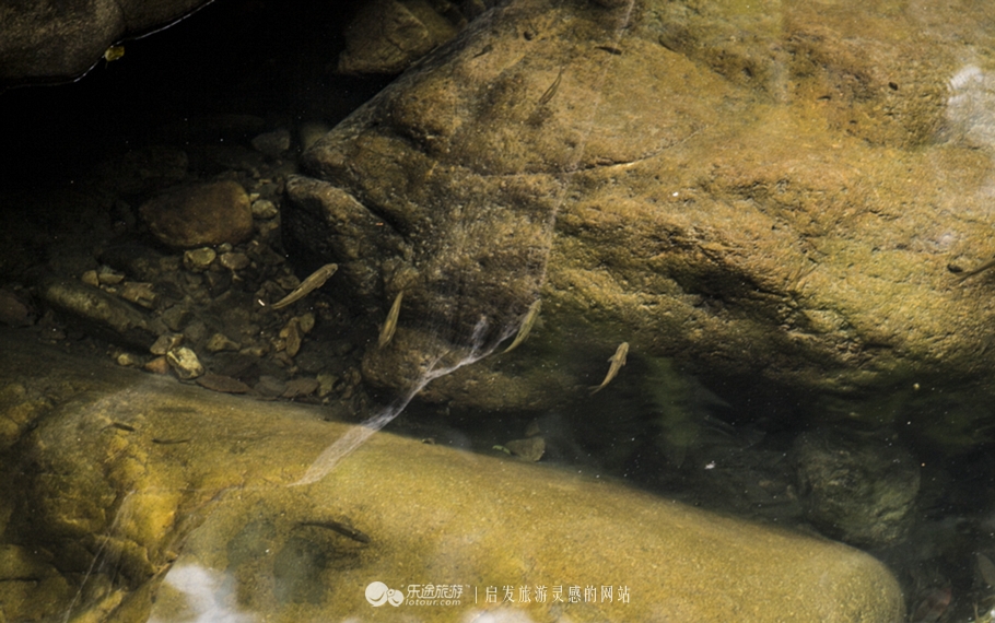云顶景区瀑布,云顶山峡谷七彩瀑布