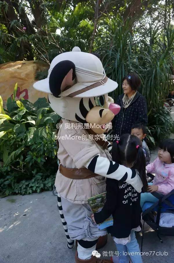 广州旅游攻略长隆野生动物园,广州长隆野生动物园自由行攻略