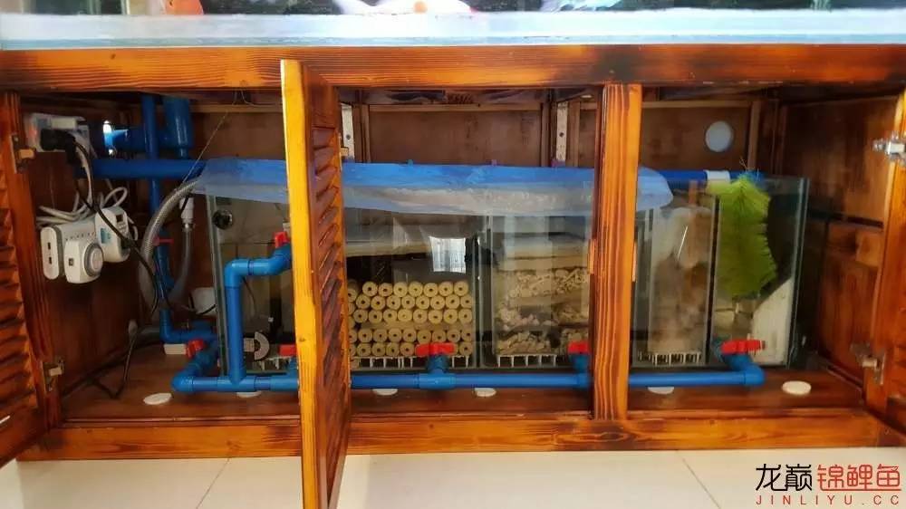 子母生态缸丨庭院深，深，深几许？