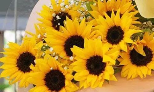 这些单词你是不是很熟悉呢,课本中不会教你的初中英语单词