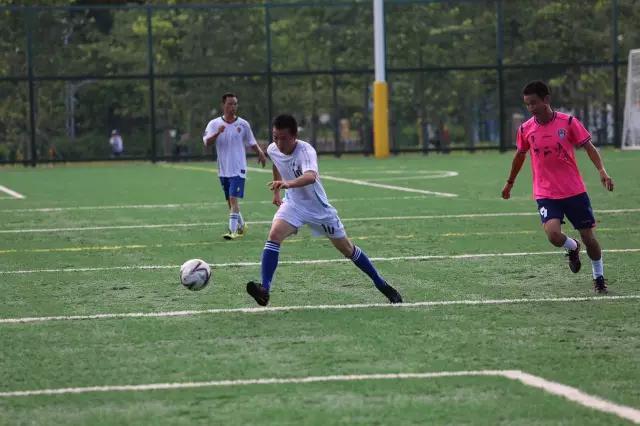 深圳有哪些公园可以免费开放,深圳有特色的免费公园