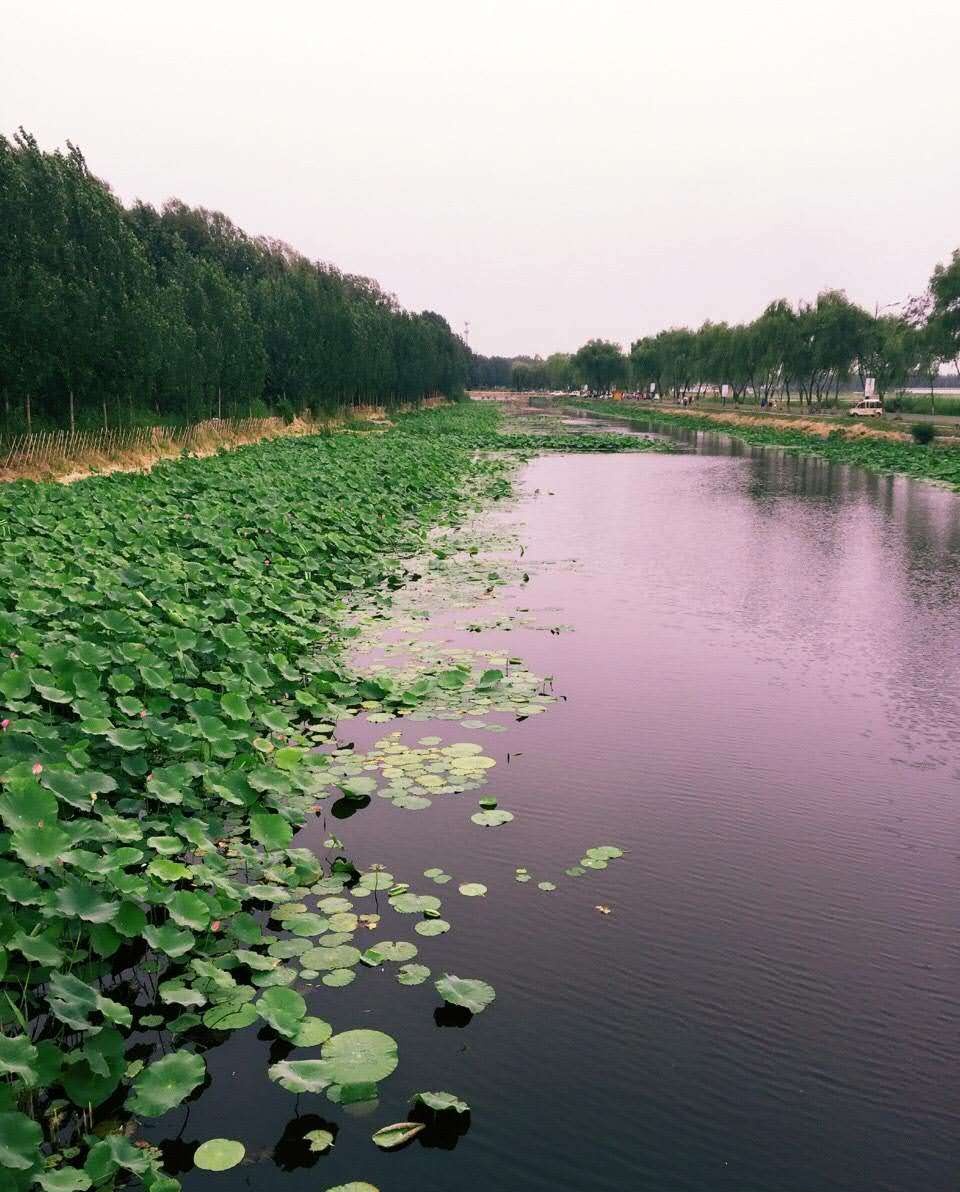 保定夏天去哪里避暑最好,保定出发一路向北避暑好去处