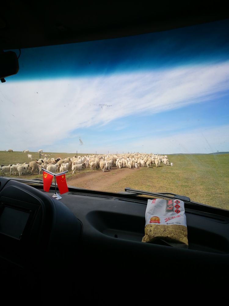 记忆深处的呼伦贝尔,记录呼伦贝尔美好时光