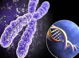 矮小症住院检查需要几天,矮小症做什么检查多少钱