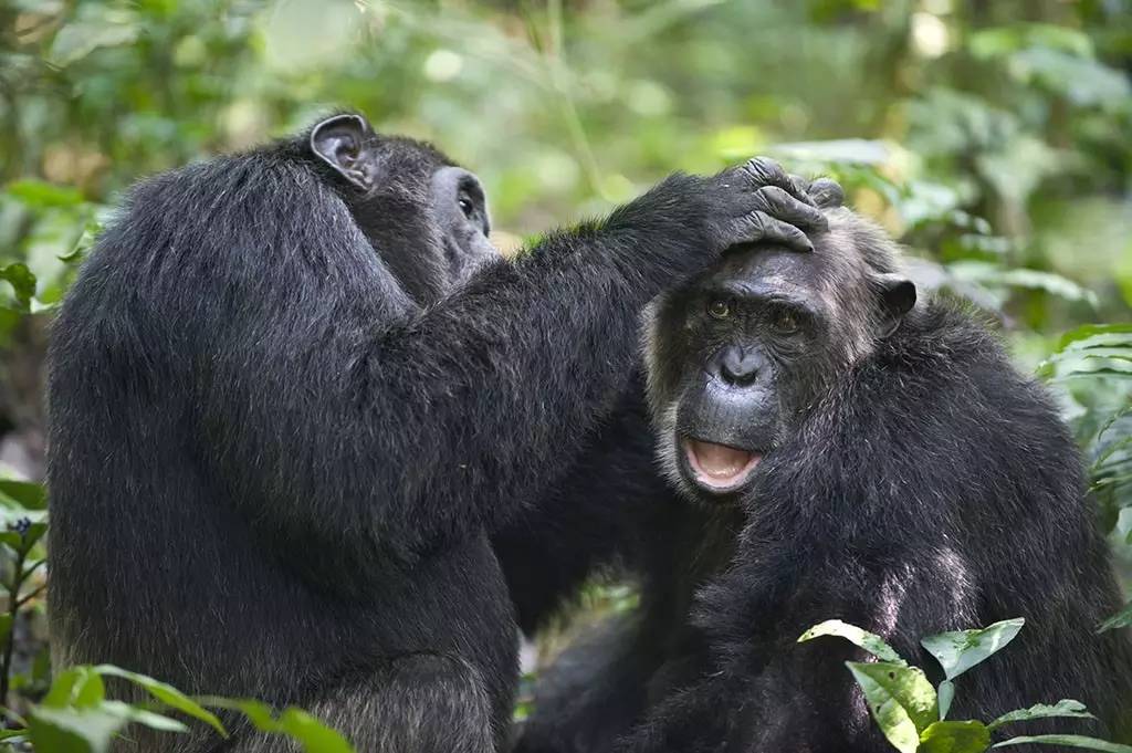 带老爸去旅行攻略,适合带老爸去的旅游