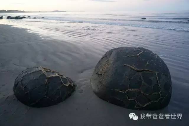 新西兰拉基圆石,摩拉基大圆石早上可以看得见吗