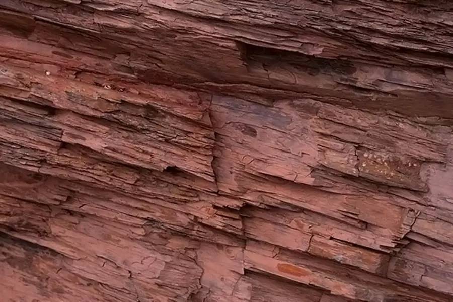 德国法尔兹无醇葡萄酒,德国普鲁士干红葡萄酒