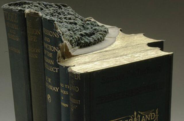 学英语用英汉词典还是汉英词典好,英汉双语词典如何使用