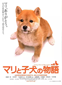 10部非常好看的日本动画电影推荐,日本栗原小卷的经典电影