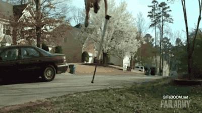 笑到肚子痛的100个笑话108字,笑到肚子痛的38个笑话视频