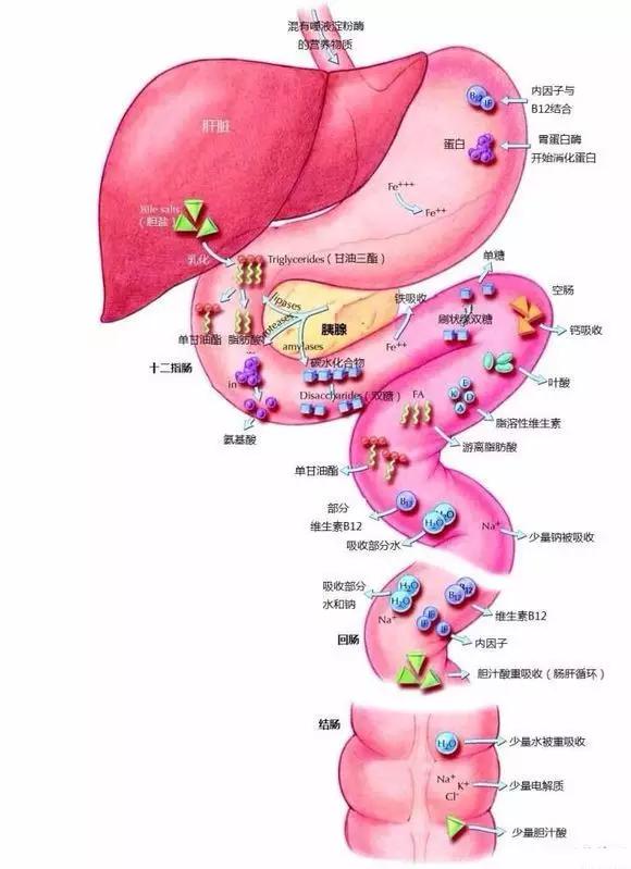 医学人士看图涨姿势系列