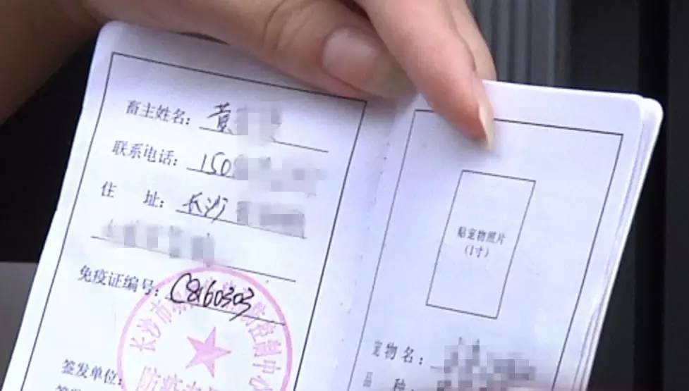 把狗买回家结果有病,购买宠物狗几天就死亡