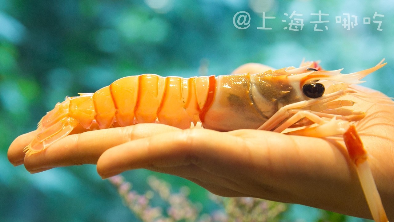 拔草魔都这家日料店,上海性价比高的日料自助