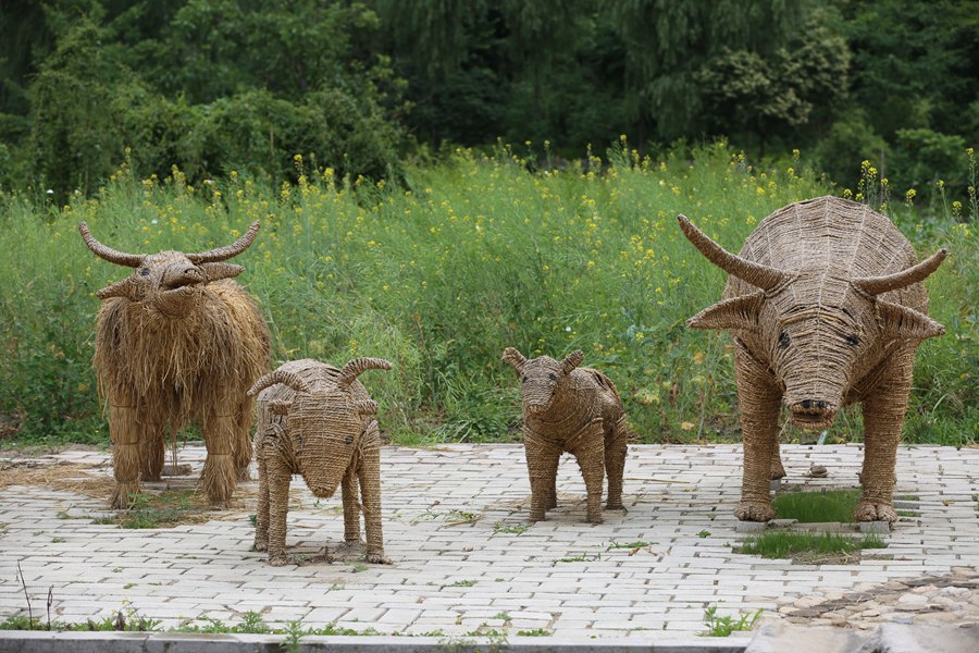 陕西旅游去哪儿玩,自驾游玩陕西