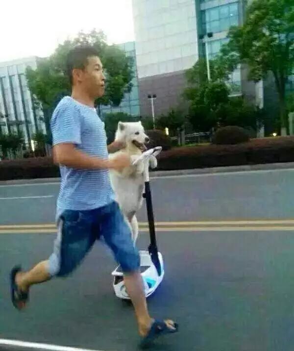 汝非瓜，焉知瓜之不应乎？