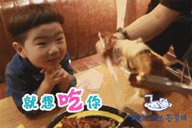 芝士的力量是培根,培根说芝士就是力量图片