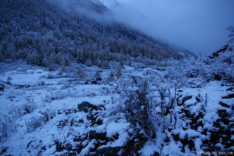 古道，细雨，暮雪-我的长坪沟半截秋色之旅