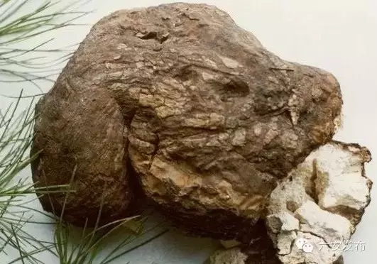 再添国字号殊荣,六安七个国家级荣誉城市称号