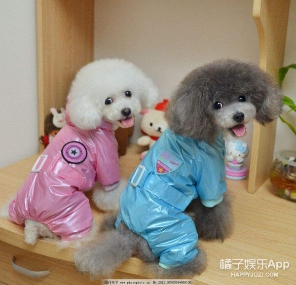 如果未来世界的一切东西都可以共享，你最想共享什么？