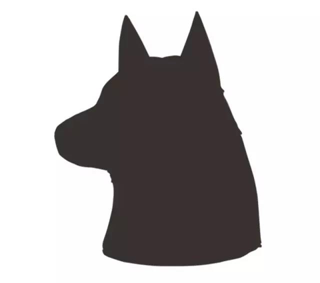 身娇贫乳双马尾，准备好舔屏了吗？！