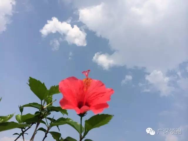 跑步十年分享自己如何坚持跑,跑步不间断法则