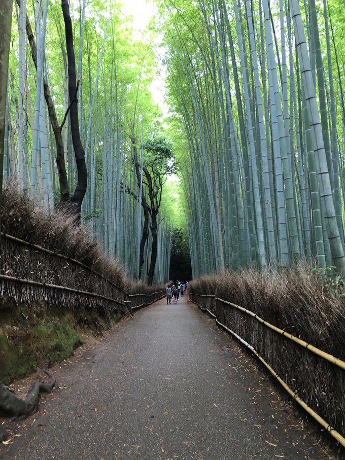 年假连端午，二次进日，关西8日游：京都、岚山（嵯峨野观光小火车、岚电）、奈良、环球影城