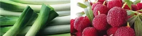 吃对了是补药吃错了是毒药,吃对了有益健康