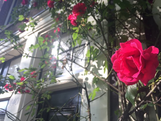 卢森堡比利时瑞士德国地图,荷兰比利时卢森堡德国瑞士旅游