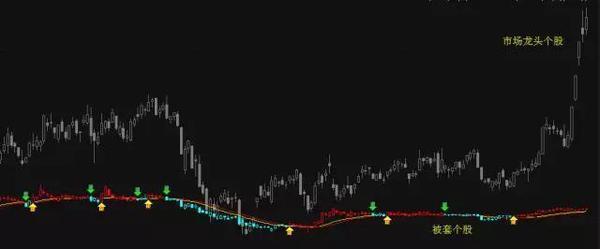 千万富翁的炒股经验,富翁的炒股经历