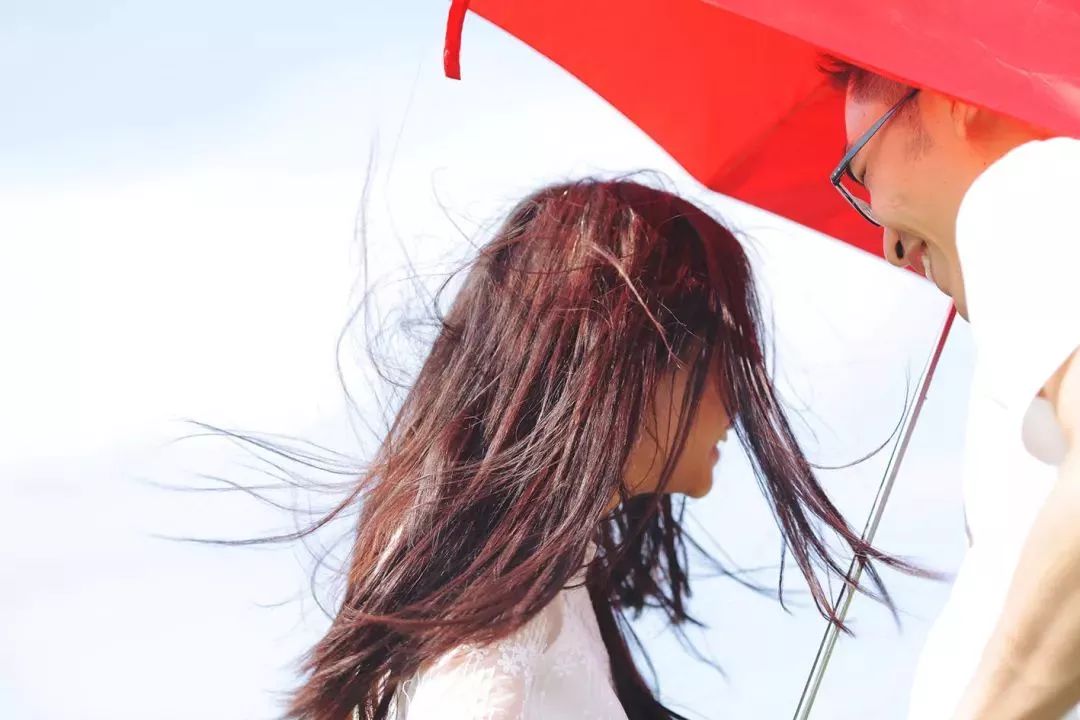 2019上海崇明薰衣草节,崇明薰衣草节旅游攻略