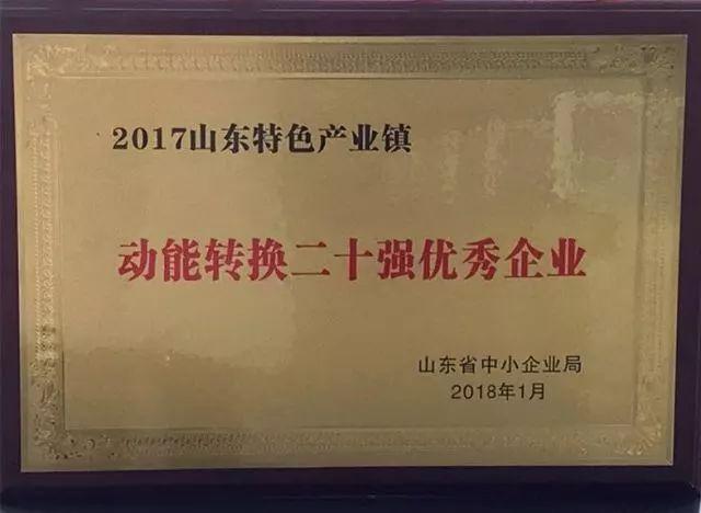 东营市海科集团视频,海科集团2021年中国企业排名