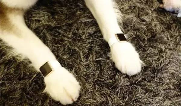 小财的直播间,小财直播录屏