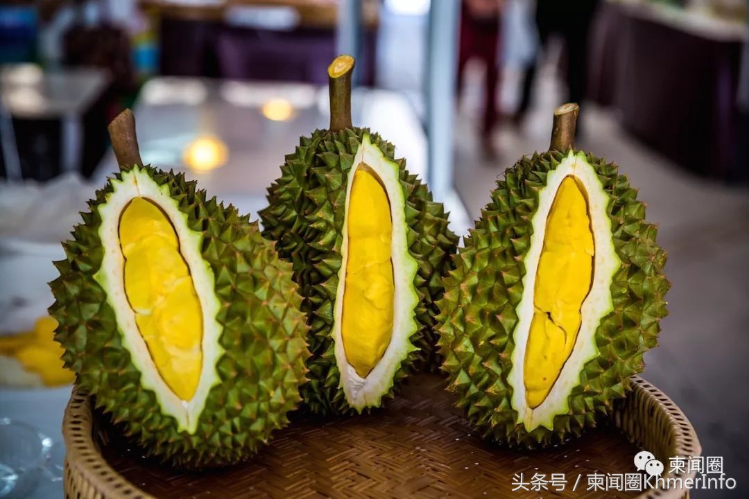 柬埔寨的特色水果有哪些,柬埔寨十大热带水果