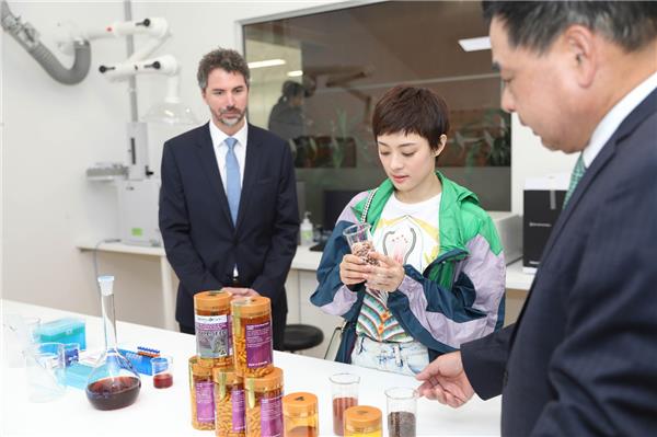 孙俪视后大满贯历程,大满贯孙俪