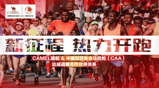 骆驼冠军,骆驼口碑最好男鞋