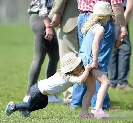 世界之最小公举盘点|波妹夜话