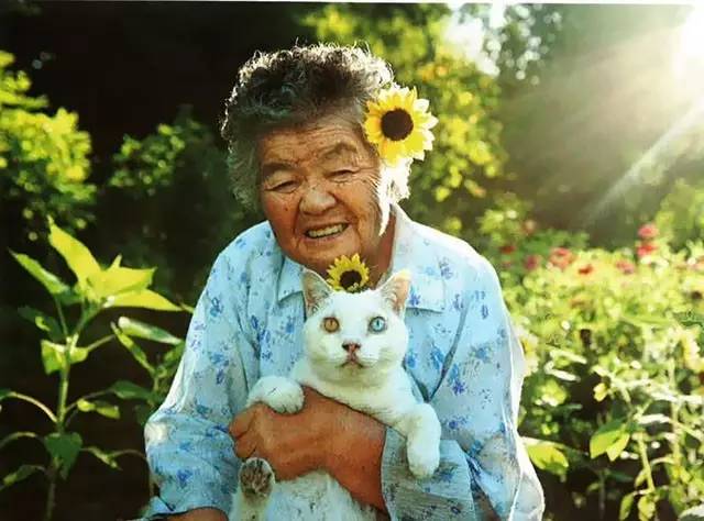 croissant猫咪原视频,croissant猫系列