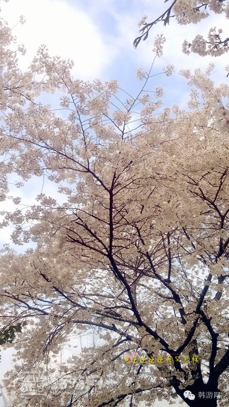 闺蜜两个去超市买零食吃,闺蜜两人闯天下