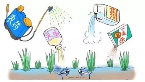 如何去除蔬菜水果上的农药残留,农药残留的危害及其去除方法