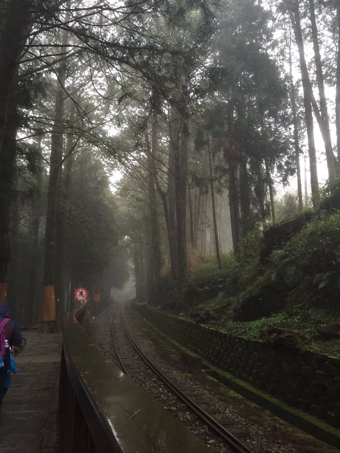 老爸追梦之旅,父亲的圆梦之旅