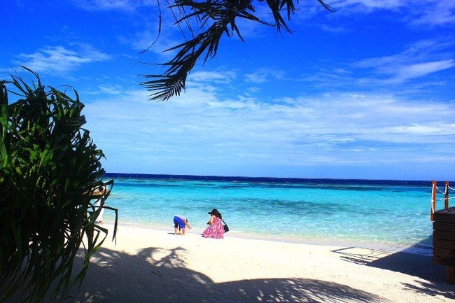 马尔代夫莉莉岛怎么玩,马尔代夫莉莉岛出海项目