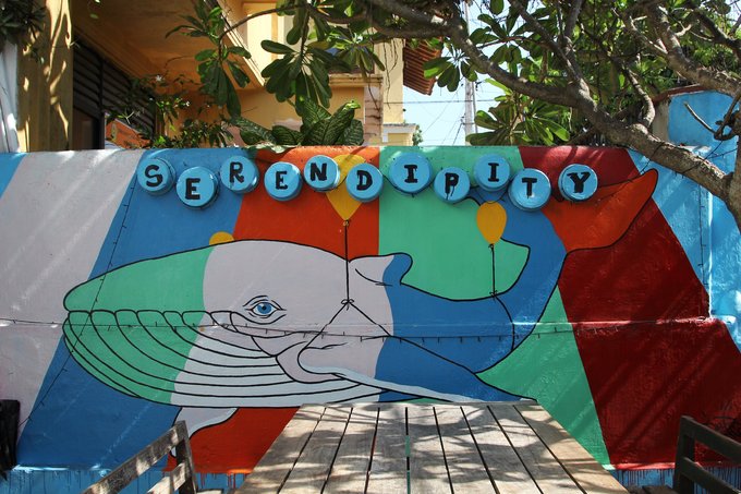 锡兰,九野,春天里@2016