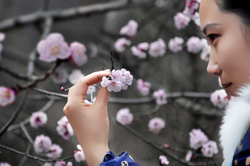 女人什么样的面相桃花运旺(女人都看看吧,或许你已经身处桃花源