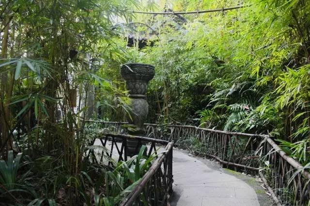 重庆茶室最出名的茶馆,重庆喝茶打麻将的地方都有哪些