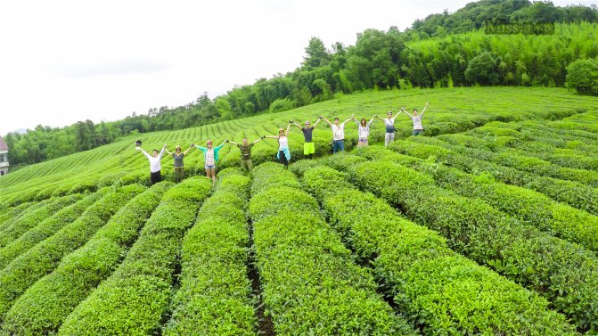 在这座神山中，我们每个人都是武林高手