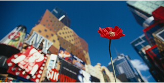 kenzo品牌中文叫什么,kenzo品牌介绍图文